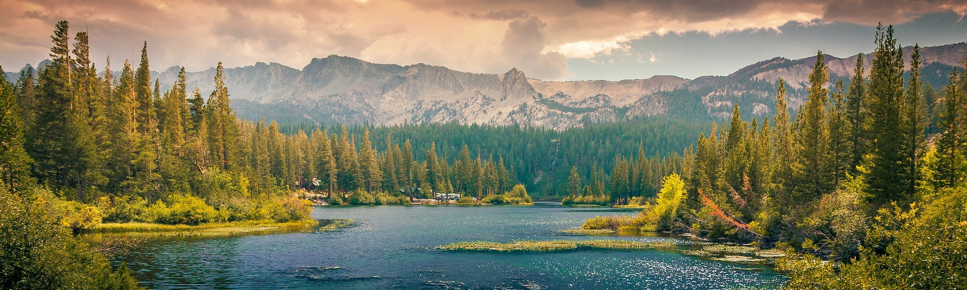 सुखकर जीवन staging.lifeeasy.page